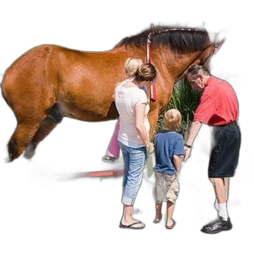 animal, weapon, creature, staff transparent PNG cut-out