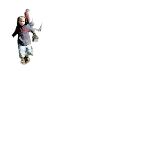 robot, creature, animal, staff transparent PNG cut-out