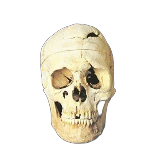 mask, face, staff, jewelry transparent PNG cut-out