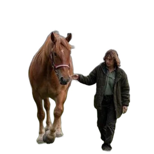 animal, creature, jacket, staff transparent PNG cut-out