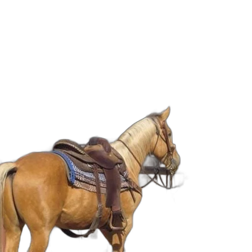 staff, hat, animal, weapon transparent PNG cut-out