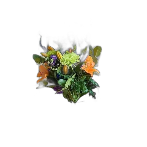 crown, flower, jewelry, hat transparent PNG cut-out
