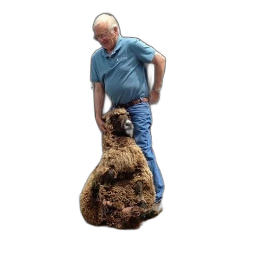 animal, creature, staff, hair transparent PNG cut-out