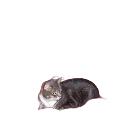 animal, creature, staff, hat transparent PNG cut-out