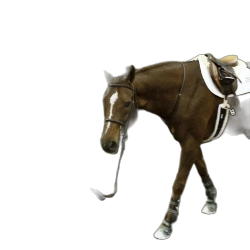 staff, animal, jewelry, photorealistic transparent PNG cut-out