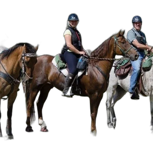 staff, three, people, riding transparent PNG cut-out
