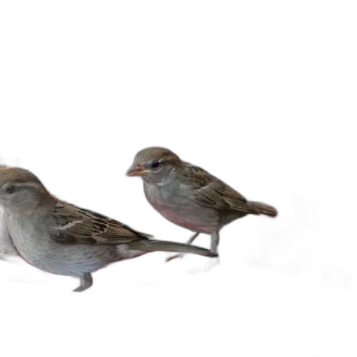 animal, 3d render, photorealistic, concept art transparent PNG cut-out