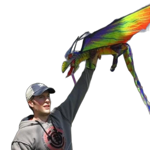 creature, dragon, animal, staff transparent PNG cut-out