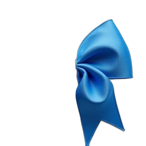 umbrella, flower, hat, staff transparent PNG cut-out