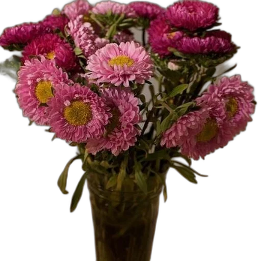 flower, crown, photorealistic, 3d render transparent PNG cut-out