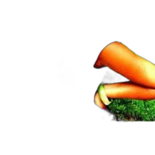 food, shoes, animal, hair transparent PNG cut-out