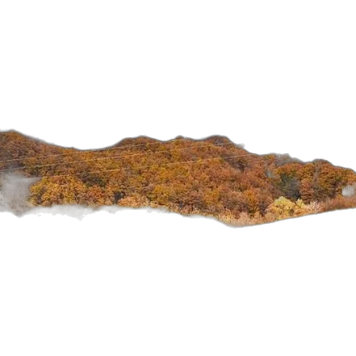 sword, tree, staff, hair transparent PNG cut-out