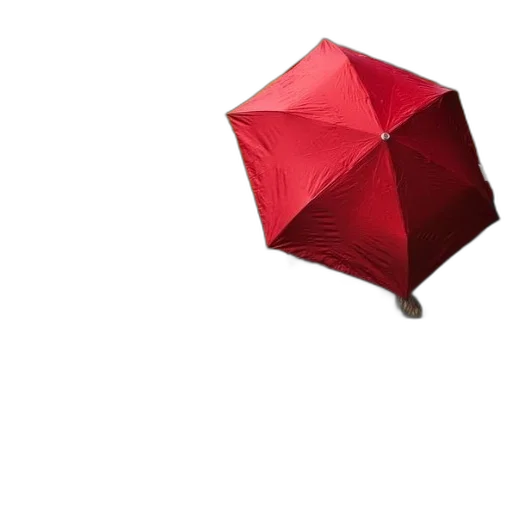 umbrella, hat, staff, flower transparent PNG cut-out