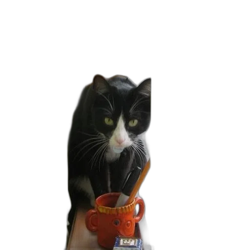 staff, animal, food, bottle transparent PNG cut-out