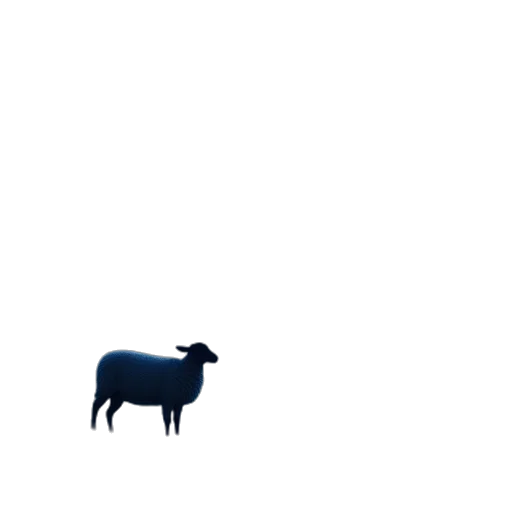 animal, food, furniture, creature transparent PNG cut-out