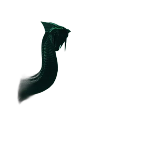 shoes, hair, dragon, animal transparent PNG cut-out