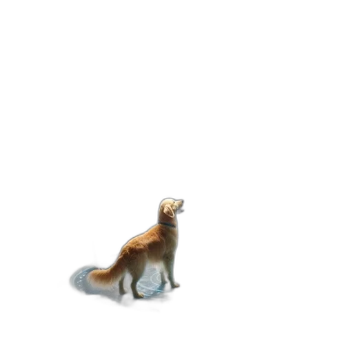 animal, creature, staff, food transparent PNG cut-out