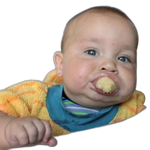 food, face, creature, animal transparent PNG cut-out