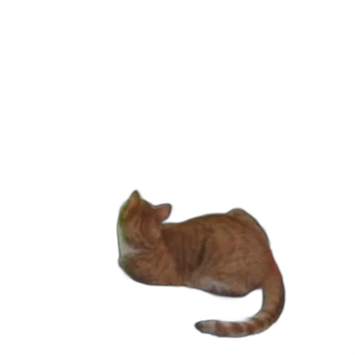 animal, staff, creature, hat transparent PNG cut-out