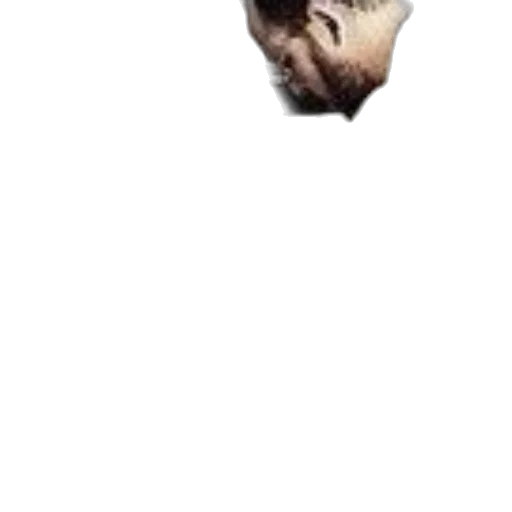 face, mask, creature, hair transparent PNG cut-out