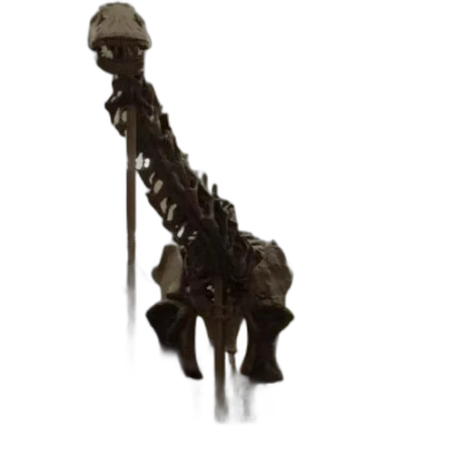 staff, animal, jewelry, weapon transparent PNG cut-out
