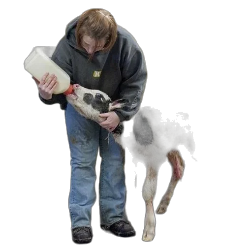 animal, creature, weapon, staff transparent PNG cut-out