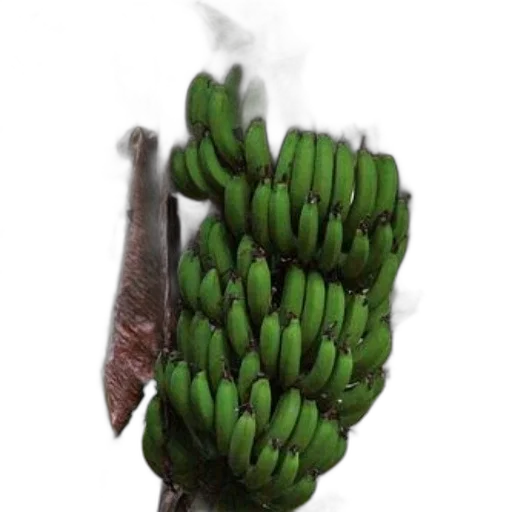 food, staff, weapon, animal transparent PNG cut-out