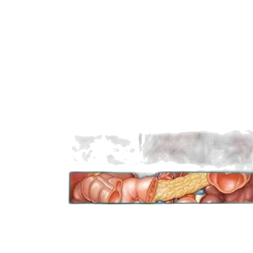 food, sword, hair, dragon transparent PNG cut-out