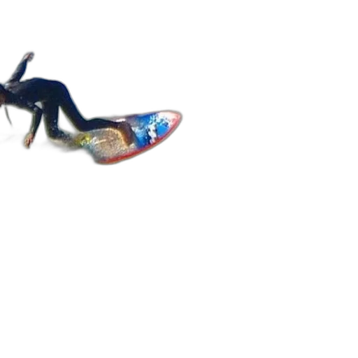 shoes, creature, dragon, animal transparent PNG cut-out