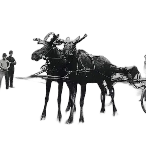 staff, animal, car, crown transparent PNG cut-out