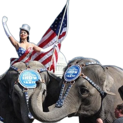 woman, patriotic, outfit, rides transparent PNG cut-out