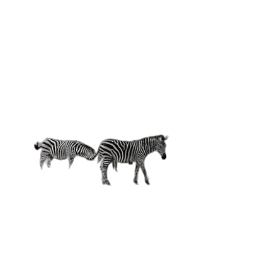 animal, creature, furniture, jewelry transparent PNG cut-out