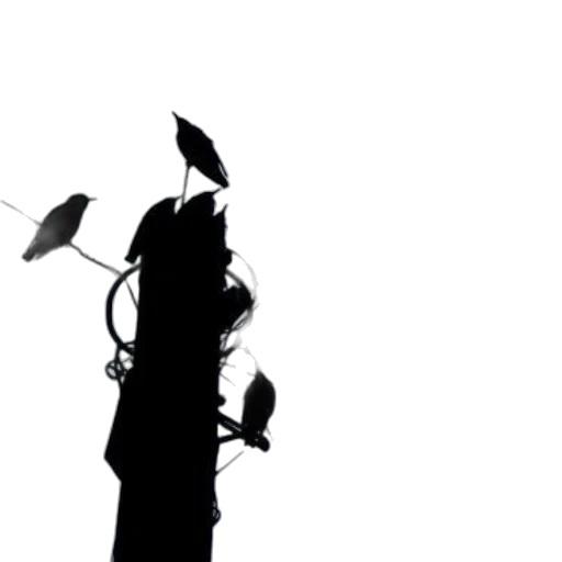 umbrella, staff, flower, mask transparent PNG cut-out