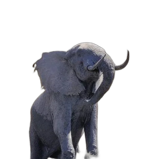 animal, creature, staff, weapon transparent PNG cut-out