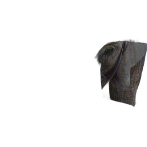animal, mask, hat, creature transparent PNG cut-out