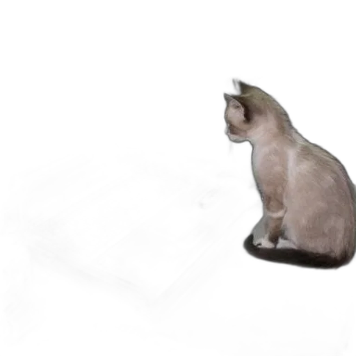 animal, staff, creature, hat transparent PNG cut-out