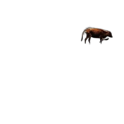 animal, creature, dragon, car transparent PNG cut-out