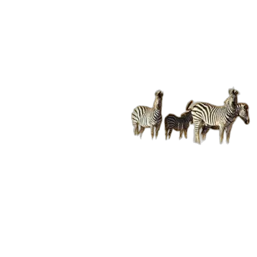 jewelry, animal, furniture, crown transparent PNG cut-out