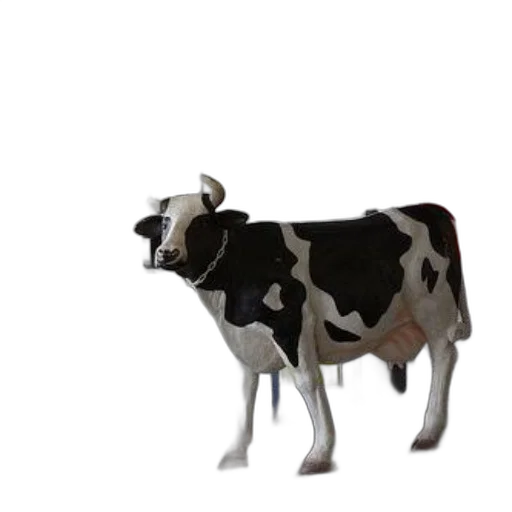 animal, creature, robot, food transparent PNG cut-out
