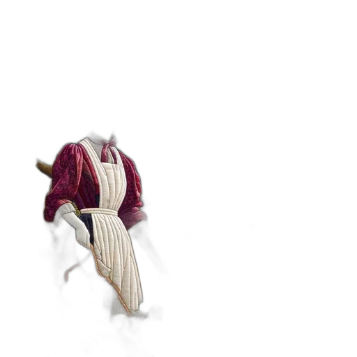 jacket, dragon, creature, shoes transparent PNG cut-out