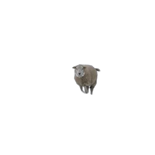 animal, creature, robot, face transparent PNG cut-out