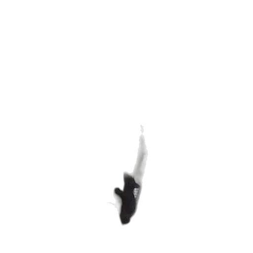 weapon, staff, sword, umbrella transparent PNG cut-out