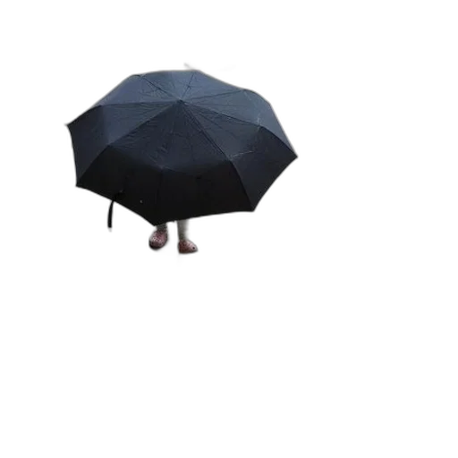 umbrella, hat, jacket, staff transparent PNG cut-out