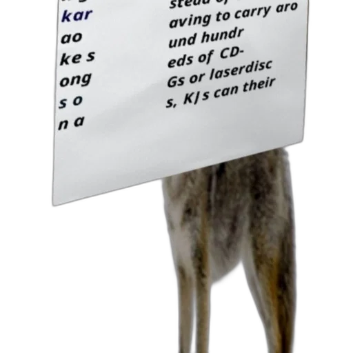 animal, creature, staff, food transparent PNG cut-out