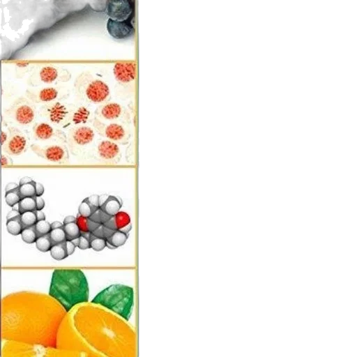 food, jewelry, 3d render, photorealistic transparent PNG cut-out