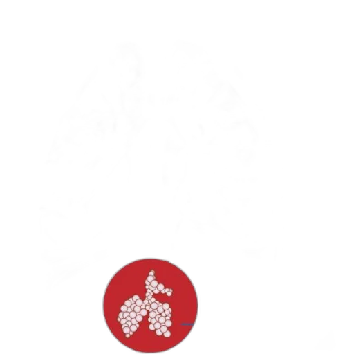 food, flower, staff, jewelry transparent PNG cut-out