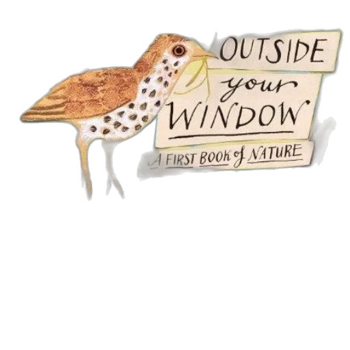 book, cover, bird, nest transparent PNG cut-out