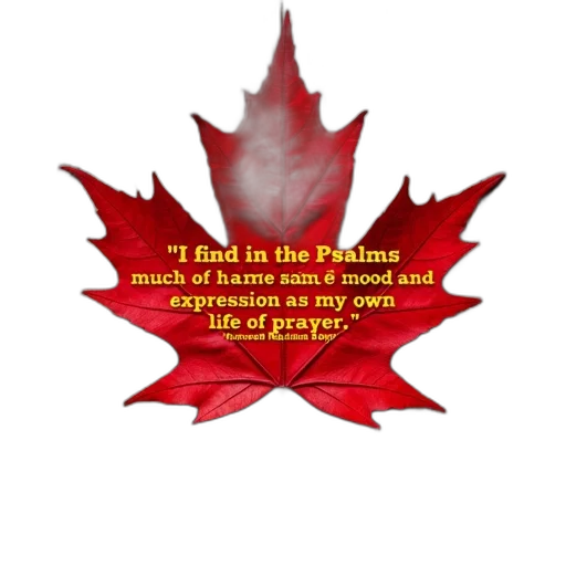 red, maple, leaf, centered transparent PNG cut-out