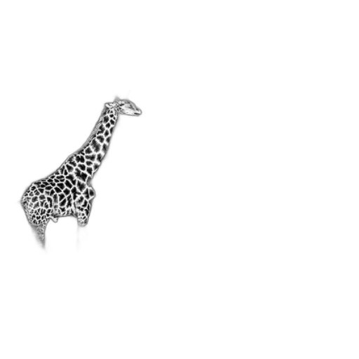 animal, jewelry, creature, staff transparent PNG cut-out
