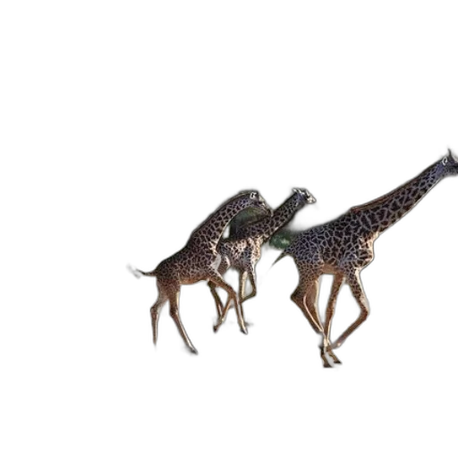 dragon, animal, creature, staff transparent PNG cut-out